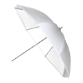 Parasolka Srebrna - DICAM